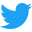 Twitter social network company icon
